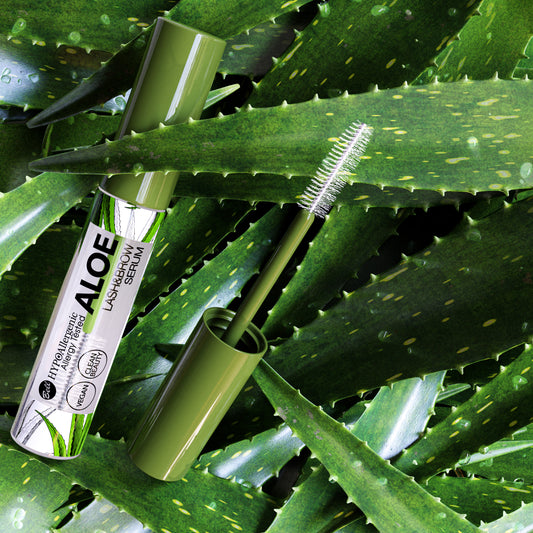 Aloe Vera und ihre Wirkungsvielfalt